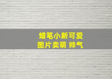 蜡笔小新可爱图片卖萌 帅气